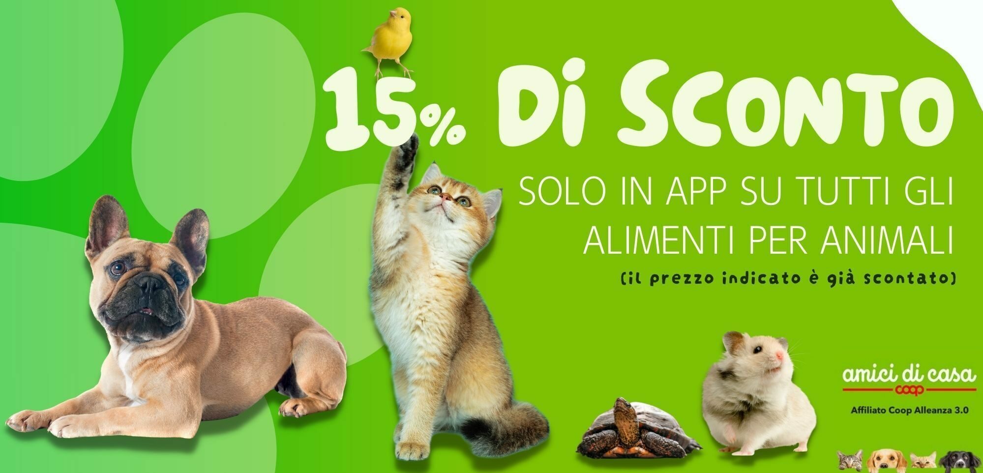 Promo Pet Store Amici di Casa